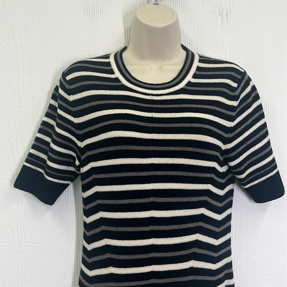 EVERLANE - Ribbed Taupe Canvas Black Stripe Short Sleeve Midi Dress Size Large - Picture 7 of 12